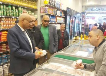 زراعة الإسكندرية