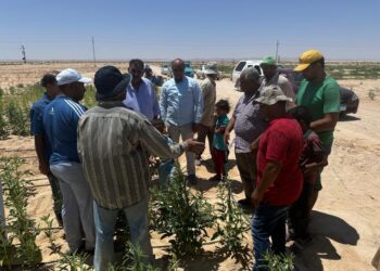 بحوث الصحراء