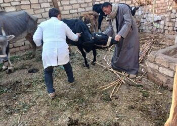 الخدمات البيطرية