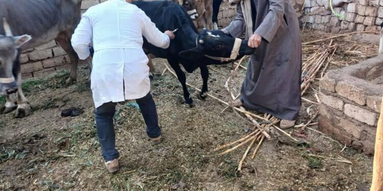 حصاد وأنشطة هيئة الخدمات البيطرية للحفاظ على الثروة الحيوانيّة خلال شهر يناير 2025 1 الخدمات البيطرية