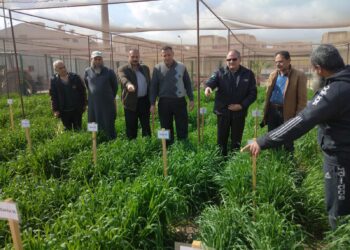 البحوث الزراعية