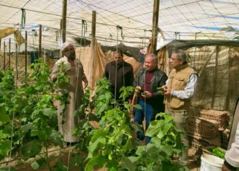 بحوث الصحراء