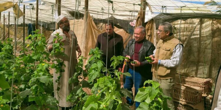 بحوث الصحراء يعزز جهود تطوير الزراعة في سيوة لمواجهة التحديات البيئية وتحقيق الاستدامة 1 بحوث الصحراء