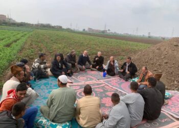 البحوث الزراعية: تنفيذ 2490 نشاطًا إرشاديًا خلال يناير لدعم المزارعين