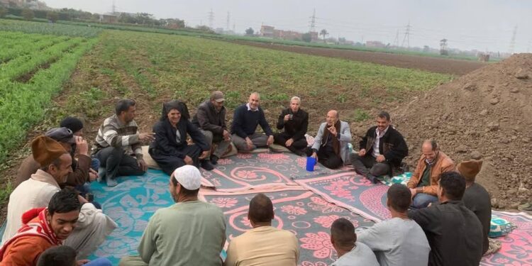 البحوث الزراعية: تنفيذ 2490 نشاطًا إرشاديًا خلال يناير لدعم المزارعين 1 البحوث الزراعية: تنفيذ 2490 نشاطًا إرشاديًا خلال يناير لدعم المزارعين