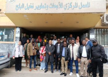 المركزي للنخيل