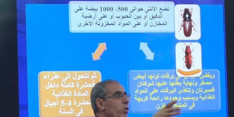 وقاية النباتات ينفذ برنامجًا تدريبيًا لاستخدام أحدث تقنيات حماية الحبوب والمنتجات المخزونة وفق معايير سلامة الغذاء 1 وقاية النباتات