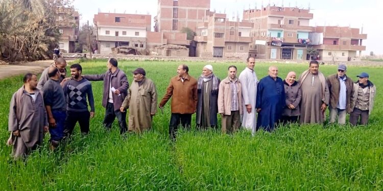 المركزية للإرشاد الزراعية