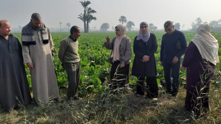 أنشطة مركز البحوث الزراعية خلال الأسبوع الأول من فبراير