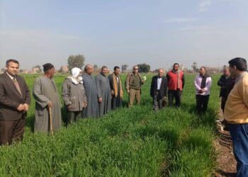 البحوث الزراعية