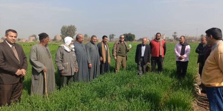 البحوث الزراعية