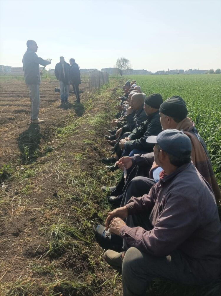 أنشطة مركز البحوث الزراعية خلال الأسبوع الأول من فبراير