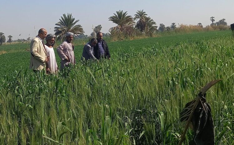 أنشطة مركز البحوث الزراعية خلال الأسبوع الأول من فبراير