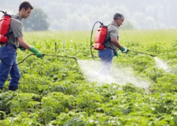 مبيدات الحشائش