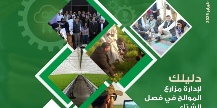 "الزراعة" تصدر العدد ٢٦ من مجلتها الشهرية «MALR» عدد فبراير ٢٠٢٥ 1 Malr