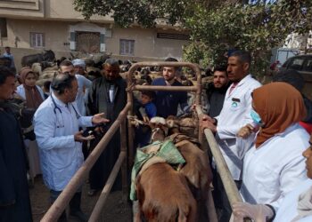 الصحة الحيوانية