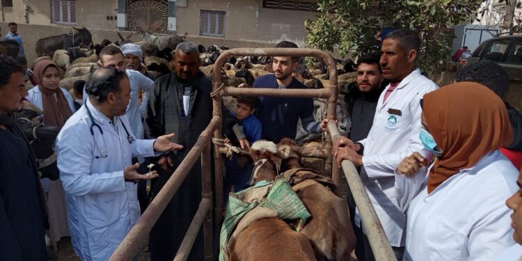 الصحة الحيوانية يفحص ويعالج أكثر من 4000 رأس ماشية بالفيوم 1 الصحة الحيوانية