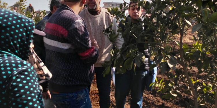 "الزراعة" تتفقد زراعات البساتين والصوب الزراعية والمشاتل بالغربية 1 البساتين