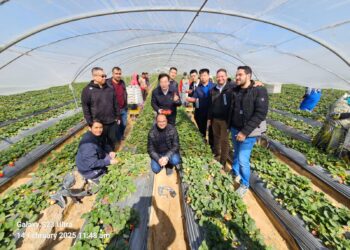 وفد الجمارك الصينية يزور محطات التصدير بالبحيرة