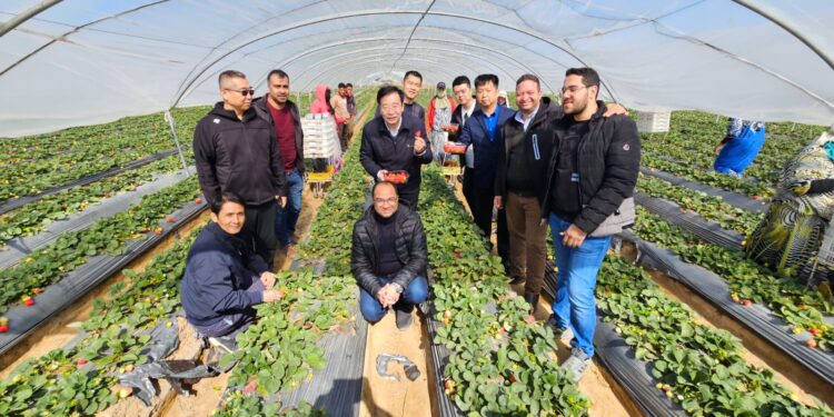 وفد الجمارك الصينية يزور محطات التصدير بالبحيرة 1 وفد الجمارك الصينية يزور محطات التصدير بالبحيرة