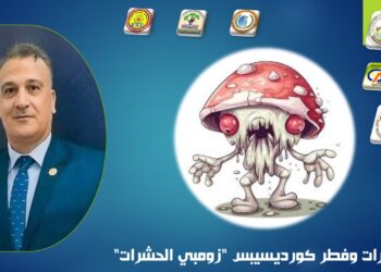 الكورديسيبس