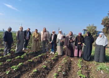 البحوث الزراعية