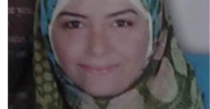 الدكتورة مروة حسين تكتب "النبق.. كنز غذائي وعلاجي من الطبيعة" 1 النبق