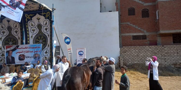 البحوث الزراعية يواصل تقديم القوافل البيطرية المجانية لصغار المربين والمزارعين بالبحيرة 1 البحوث الزراعية يواصل تقديم القوافل البيطرية المجانية لصغار المربين والمزارعين بالبحيرة