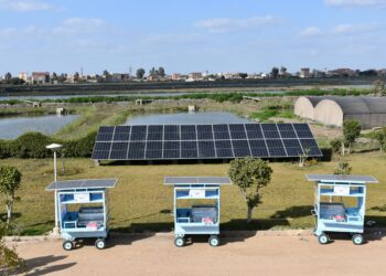 الدولي للأسماك يدعم الاستزراع المستدام في مصر من خلال مركز الطاقة المتجددة