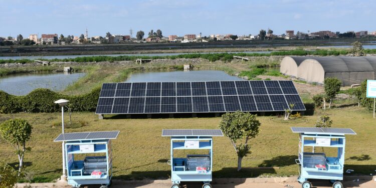 الدولي للأسماك يدعم الاستزراع المستدام في مصر من خلال مركز الطاقة المتجددة