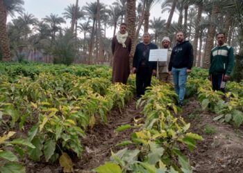 المركزي للزراعة العضوية