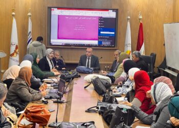 البيانات الكمية