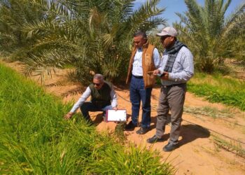 بحوث الصحراء