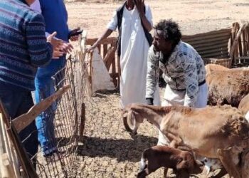 بحوث الصحراء