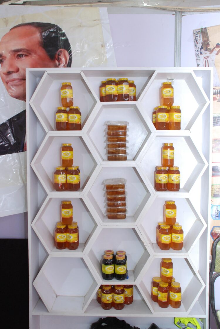 وزير الزراعة ومحافظ الجيزة يفتتحان معرضين للسلع والمنتجات الغذائية ومستلزمات رمضان