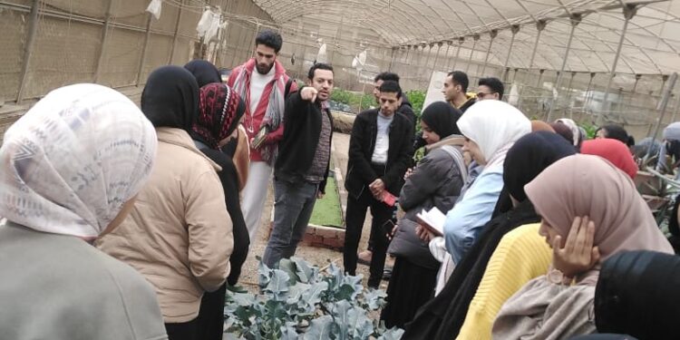 "المركزي للمناخ" ينظم برنامج نظم تدريبي بعنوان نظم الزراعة بدون تربة وتدوير مخلفات المدن 1 “المركزي للمناخ” ينظم برنامج نظم تدريبي بعنوان نظم الزراعة بدون تربة وتدوير مخلفات المدن