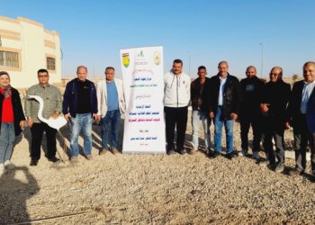 مركز بحوث الصحراء ينظم دورة تدريبية لتعزيز النظم الغذائية المستدامة لمزارعي الزيتون في جنوب سيناء