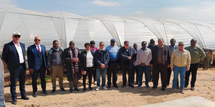 وزيرا الثروة الحيوانية والري في زامبيا يتفقدان مزرعة تصدير الحاصلات البستانية بالنوبارية 1 وزيرا الثروة الحيوانية والري في زامبيا يتفقدان مزرعة تصدير الحاصلات البستانية بالنوبارية