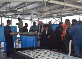 وفد وزارة المصايد والثروة الحيوانية بزامبيا يزور الزراعة والدولي للأسماك