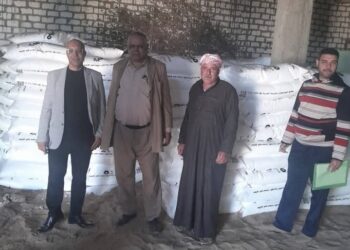 زراعة الإسماعيلية