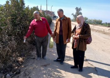 زراعة الشرقية