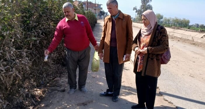 «زراعة الشرقية»: انطلاق حملة تحزيم وصيانة محصول القمح بجميع الإدارات الزراعية 1 زراعة الشرقية