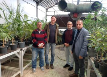 بنك الجينات القومي