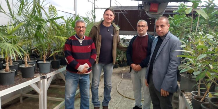 «بنك الجينات القومي » يبحث وفد مع الـ«ايكاردا» سبل التعاون المشترك 1 بنك الجينات القومي