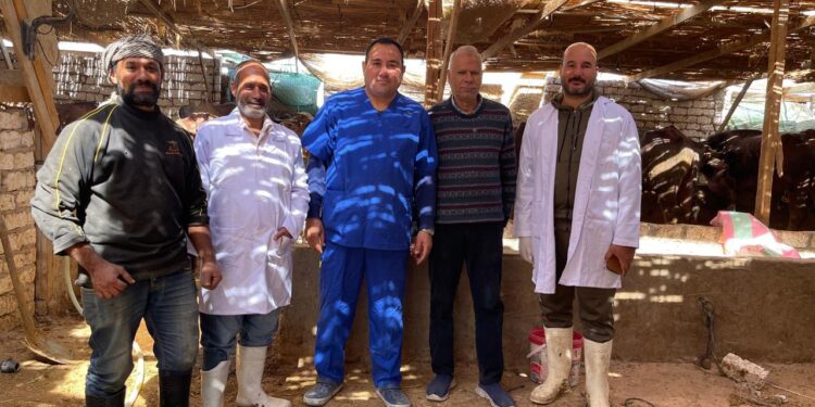 بحوث الصحراء يطلق قافلة بيطرية لمدينة الطور بجنوب سيناء 1 بحوث الصحراء