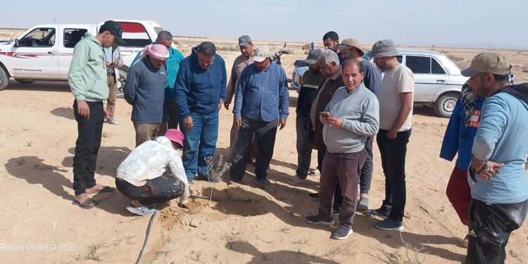 مركز بحوث الصحراء