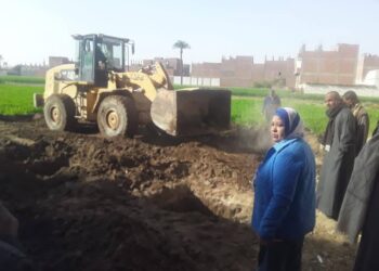 زراعة أسيوط