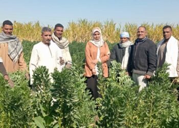 زراعة الأقصر