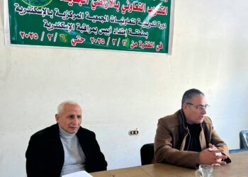 زراعة الإسكندرية