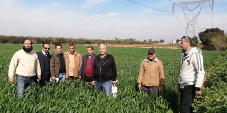 «زراعة الإسماعيلية» تنظم قافلة إرشادية بالتعاون مع جامعة قناة السويس لتوعية المزارعين 1 زراعة الإسماعيلية